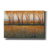 'Glow in the Afternoon II' by Tim O'Toole, Canvas Wall Art
