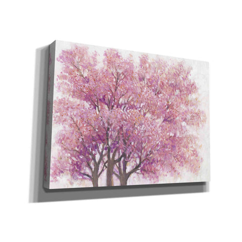 Image of 'Pink Cherry Blossom Tree I' by Tim O'Toole, Canvas Wall Art