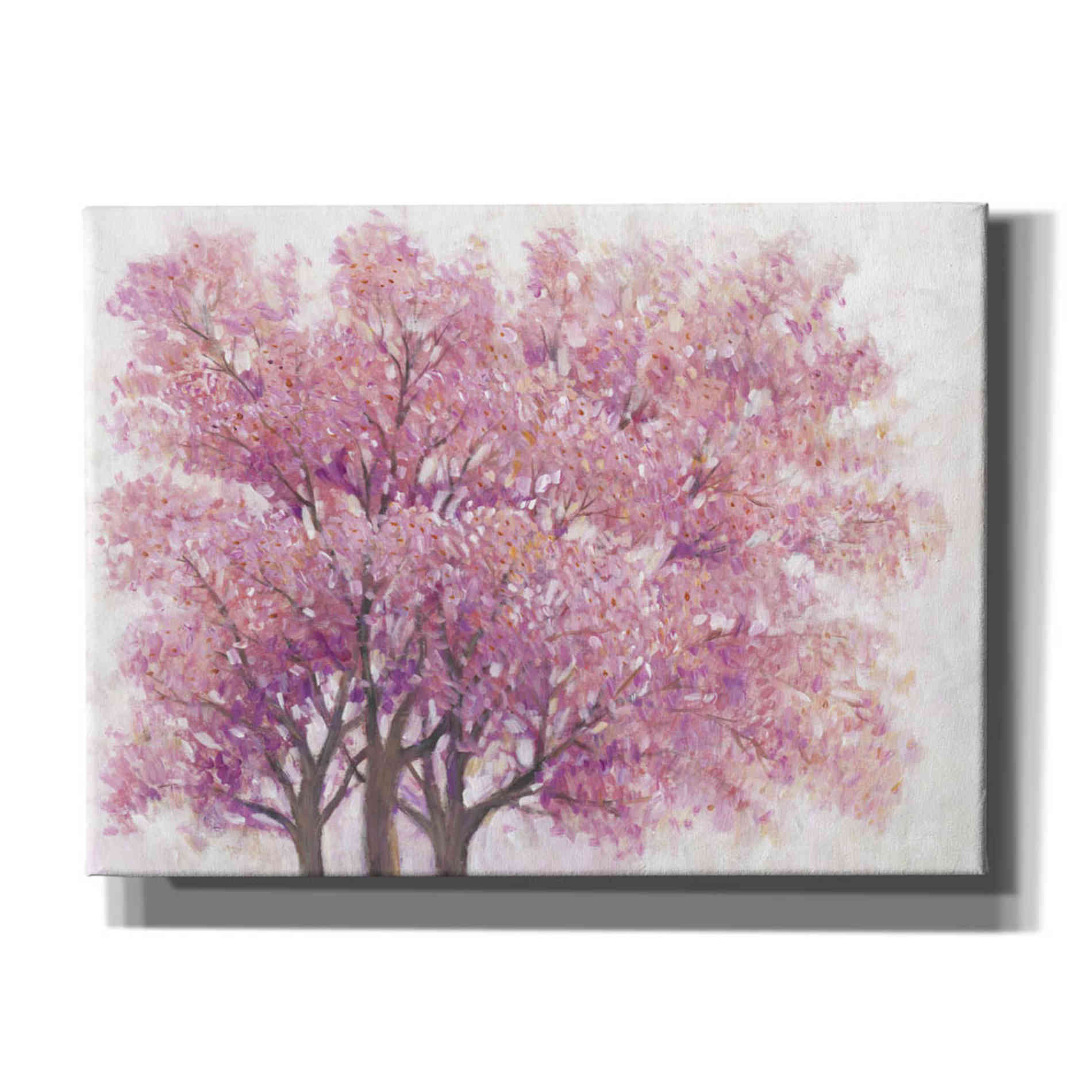 'Pink Cherry Blossom Tree I' by Tim O'Toole, Canvas Wall Art