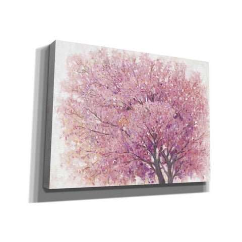 Image of 'Pink Cherry Blossom Tree II' by Tim O'Toole, Canvas Wall Art