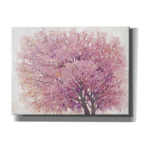 Image of 'Pink Cherry Blossom Tree II' by Tim O'Toole, Canvas Wall Art