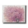 'Pink Cherry Blossom Tree II' by Tim O'Toole, Canvas Wall Art