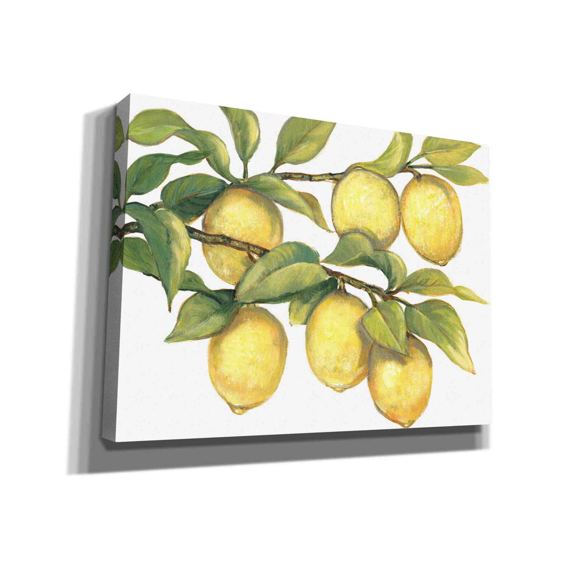 'Ripe for Picking II' by Tim O'Toole, Canvas Wall Art