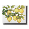'Ripe for Picking II' by Tim O'Toole, Canvas Wall Art