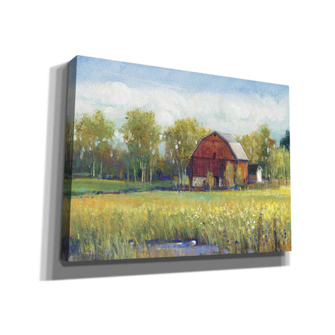 Image of 'Rural America I' by Tim O'Toole, Canvas Wall Art