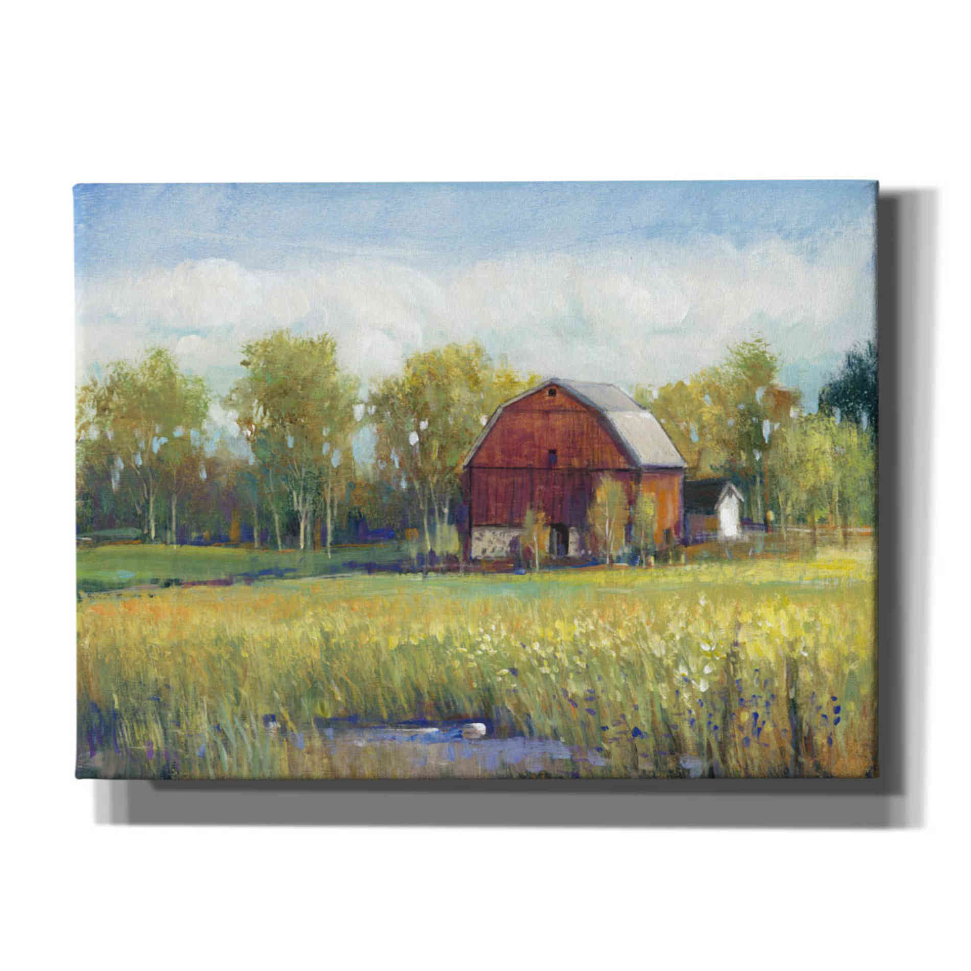 'Rural America I' by Tim O'Toole, Canvas Wall Art
