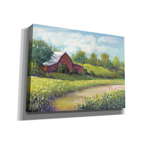 Image of 'Rural America II' by Tim O'Toole, Canvas Wall Art
