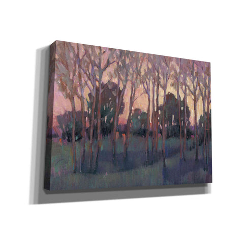 Image of 'Morning Light I' by Tim O'Toole, Canvas Wall Art