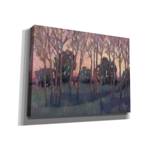 'Morning Light I' by Tim O'Toole, Canvas Wall Art