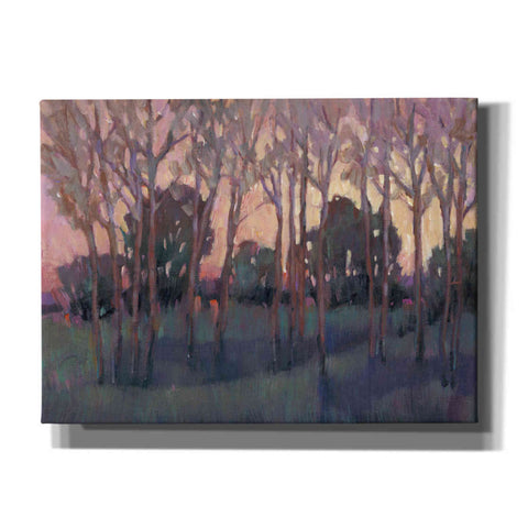 Image of 'Morning Light I' by Tim O'Toole, Canvas Wall Art