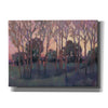 'Morning Light I' by Tim O'Toole, Canvas Wall Art
