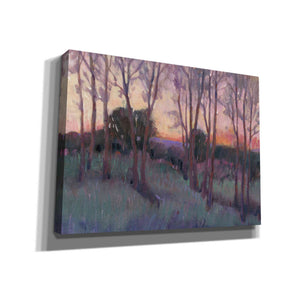 'Morning Light II' by Tim O'Toole, Canvas Wall Art