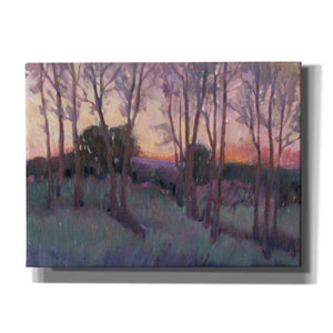 'Morning Light II' by Tim O'Toole, Canvas Wall Art