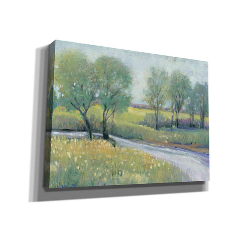 Image of 'Summer Stream I' by Tim O'Toole, Canvas Wall Art