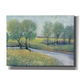 'Summer Stream I' by Tim O'Toole, Canvas Wall Art