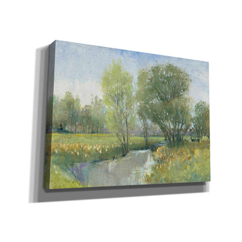 Image of 'Summer Stream II' by Tim O'Toole, Canvas Wall Art