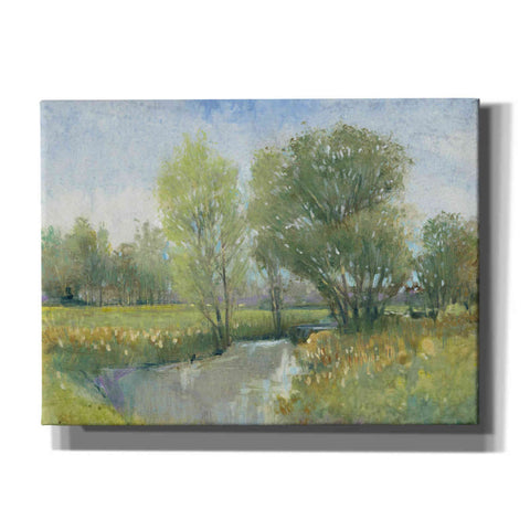 Image of 'Summer Stream II' by Tim O'Toole, Canvas Wall Art