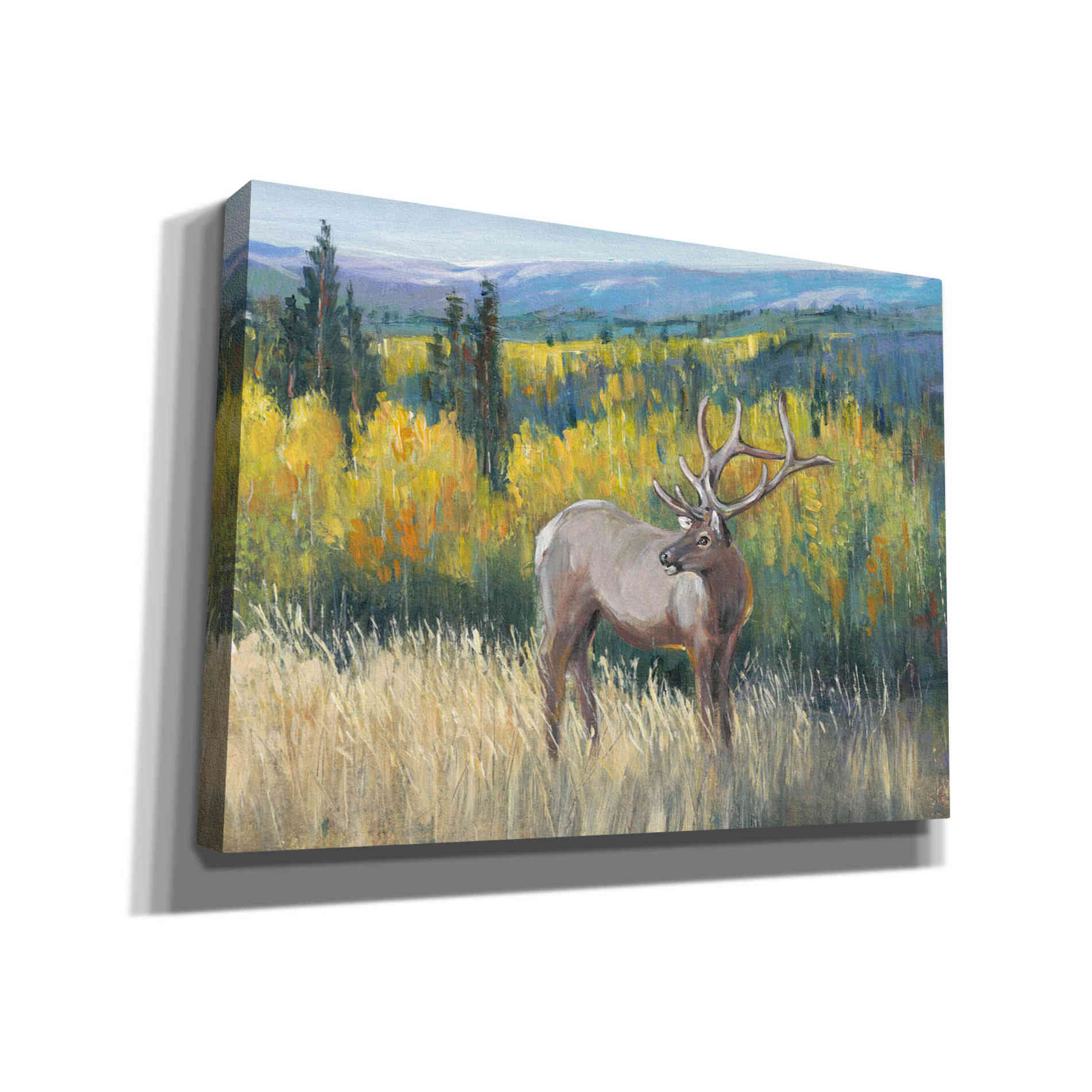 'View From the Top I' by Tim O'Toole, Canvas Wall Art