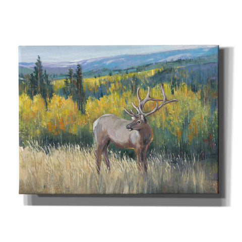 Image of 'View From the Top I' by Tim O'Toole, Canvas Wall Art