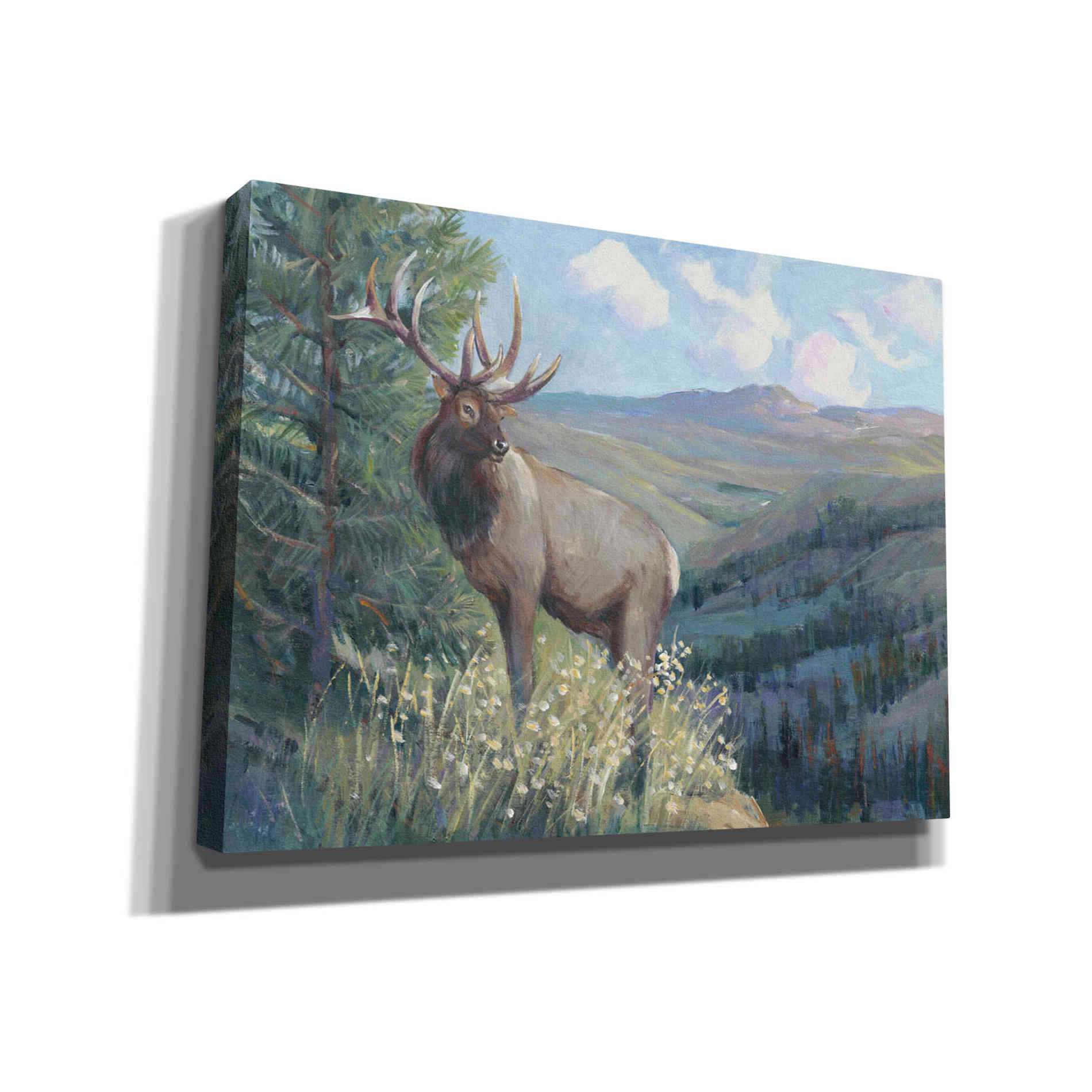 'View From the Top II' by Tim O'Toole, Canvas Wall Art