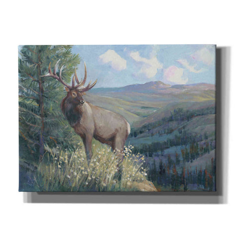 Image of 'View From the Top II' by Tim O'Toole, Canvas Wall Art