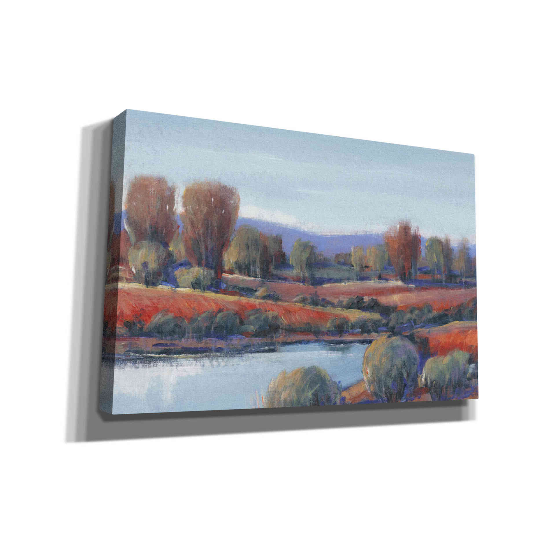'Hidden Creek I' by Tim O'Toole, Canvas Wall Art