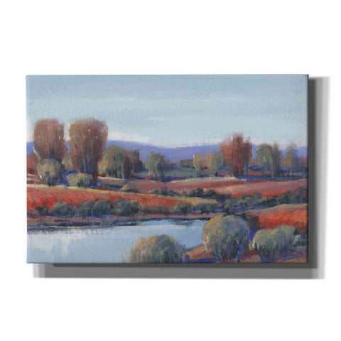 Image of 'Hidden Creek I' by Tim O'Toole, Canvas Wall Art