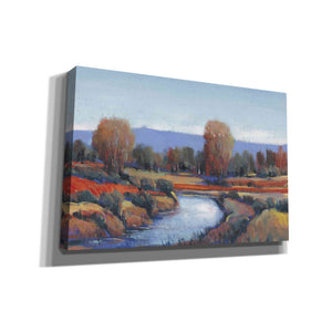 'Hidden Creek II' by Tim O'Toole, Canvas Wall Art