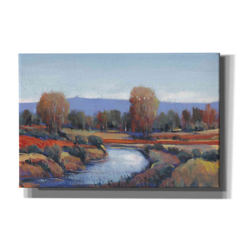 Image of 'Hidden Creek II' by Tim O'Toole, Canvas Wall Art