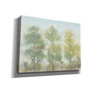 'Muted Trees II' by Tim O'Toole, Canvas Wall Art