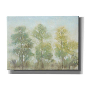 'Muted Trees II' by Tim O'Toole, Canvas Wall Art