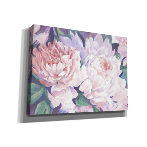 Image of 'Peonies in Bloom I' by Tim O'Toole, Canvas Wall Art