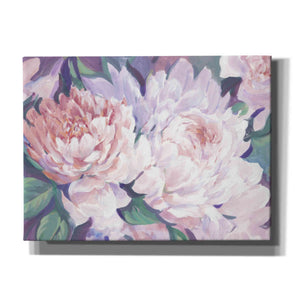 'Peonies in Bloom I' by Tim O'Toole, Canvas Wall Art