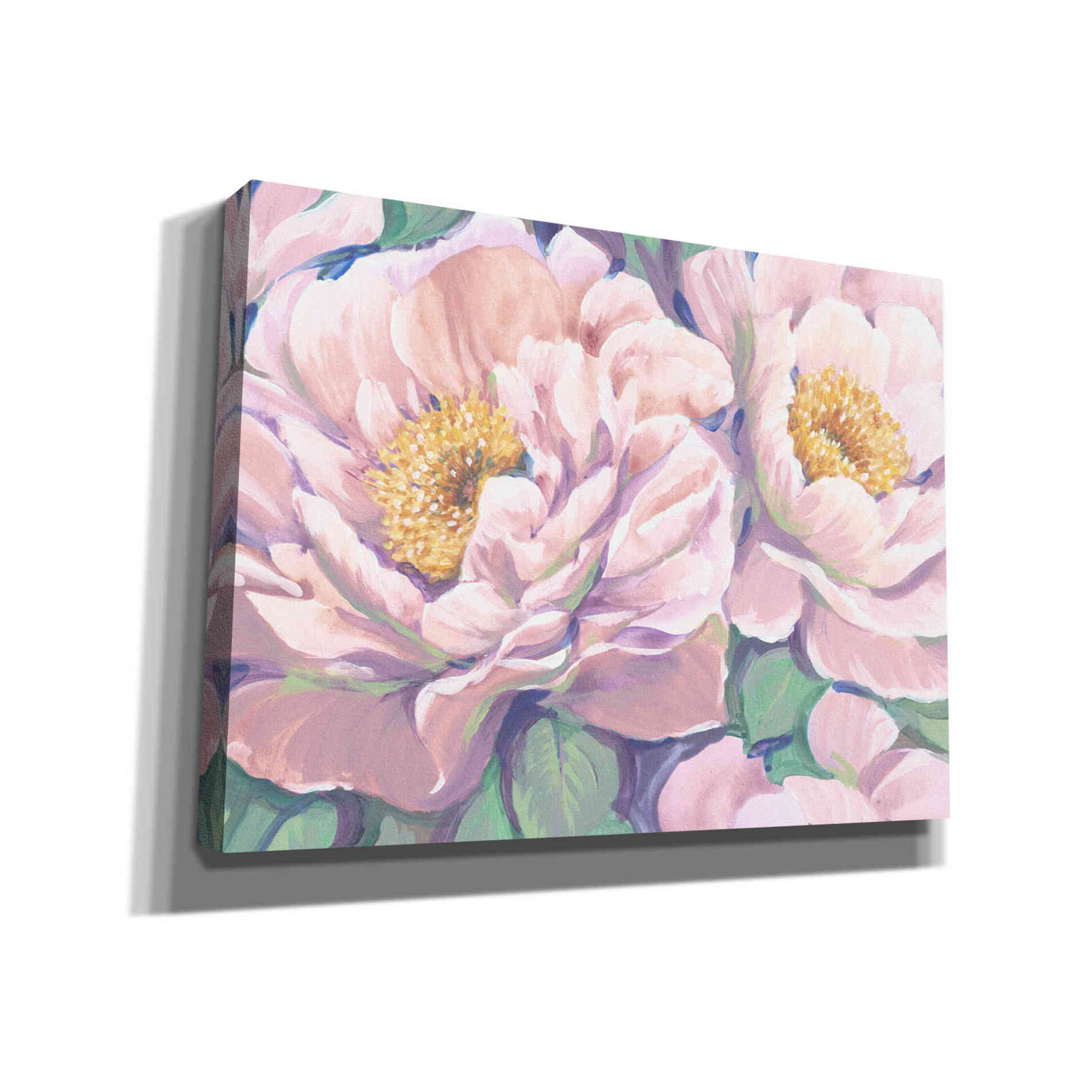 'Peonies in Bloom II' by Tim O'Toole, Canvas Wall Art