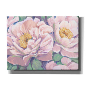 'Peonies in Bloom II' by Tim O'Toole, Canvas Wall Art