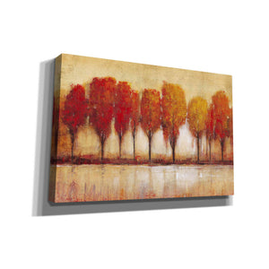'Autumn Water's Edge' by Tim O'Toole, Canvas Wall Art