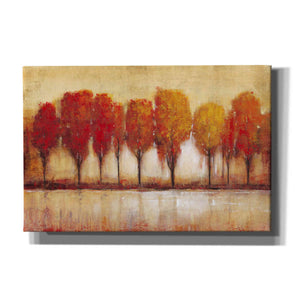 'Autumn Water's Edge' by Tim O'Toole, Canvas Wall Art