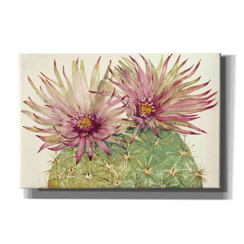 Image of 'Cactus Blossoms I' by Tim O'Toole, Canvas Wall Art