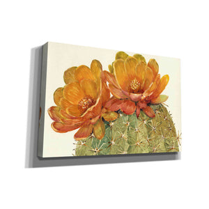 'Cactus Blossoms II' by Tim O'Toole, Canvas Wall Art