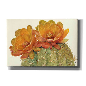 'Cactus Blossoms II' by Tim O'Toole, Canvas Wall Art