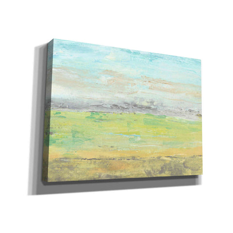 Image of 'Distant Front Range I' by Tim O'Toole, Canvas Wall Art
