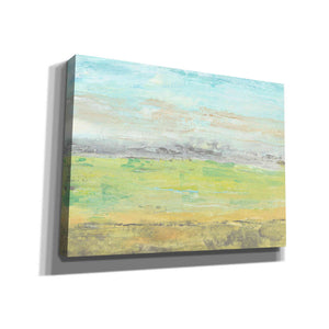 'Distant Front Range I' by Tim O'Toole, Canvas Wall Art