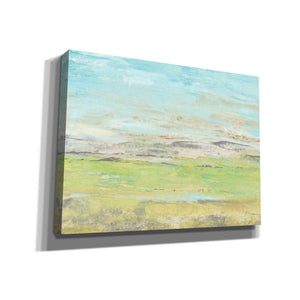 'Distant Front Range II' by Tim O'Toole, Canvas Wall Art