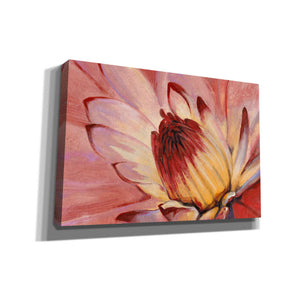 'Micro Floral I' by Tim O'Toole, Canvas Wall Art
