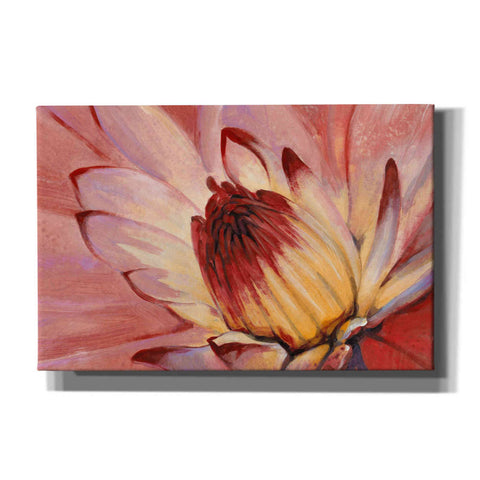 Image of 'Micro Floral I' by Tim O'Toole, Canvas Wall Art