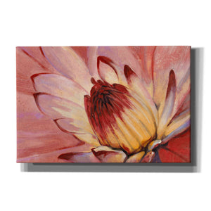 'Micro Floral I' by Tim O'Toole, Canvas Wall Art