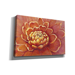 'Micro Floral II' by Tim O'Toole, Canvas Wall Art