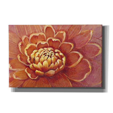 Image of 'Micro Floral II' by Tim O'Toole, Canvas Wall Art