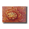 'Micro Floral II' by Tim O'Toole, Canvas Wall Art