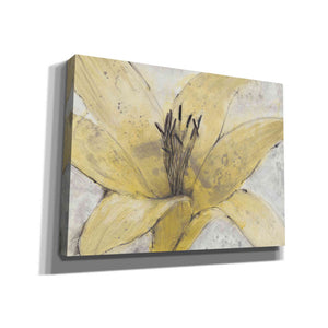 'Transparency Flower I' by Tim O'Toole, Canvas Wall Art